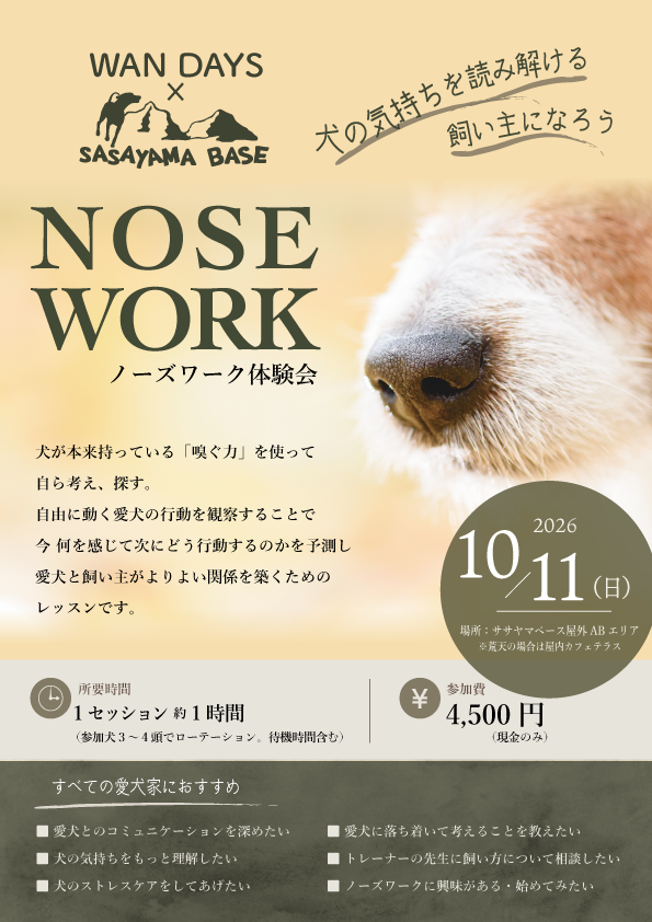 ノーズワーク