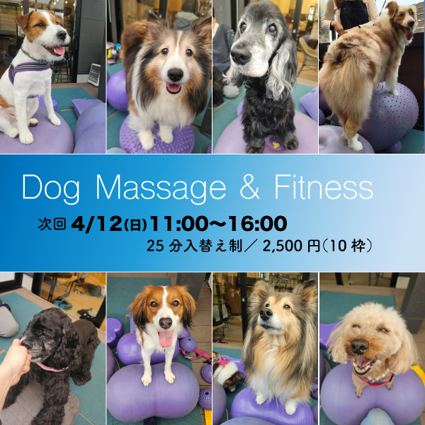 ドッグマッサージ