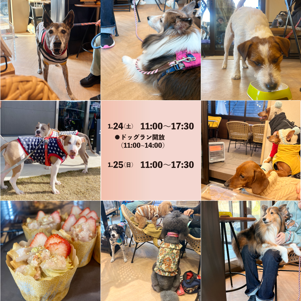 1月第４週のカレンダー