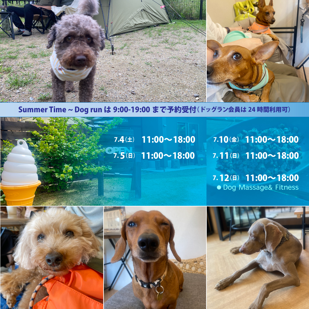 ７月第１−２週のスケジュール